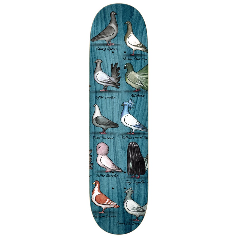 ANTIHERO DECK – TRUJILLO SHOW PIGEONS (8.5″) 8.5″