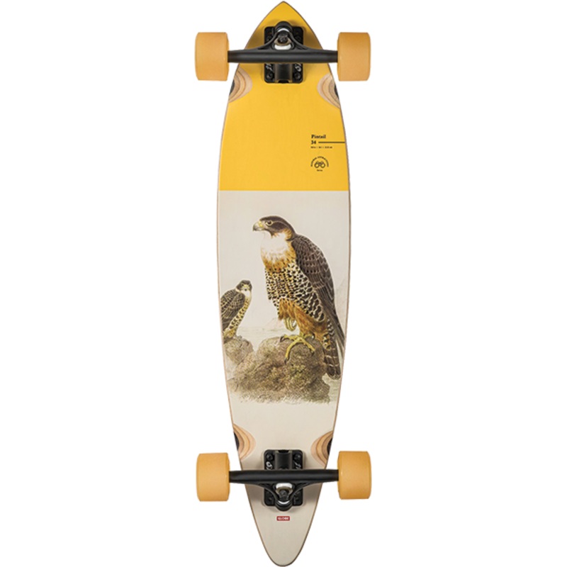 GLB PINTAIL 34 COMPLETE FALCON 8.75″x30.5″