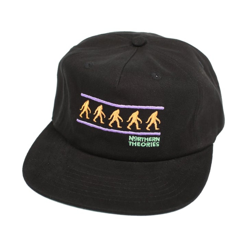 THEORIES CAP – NORTHERN THEORIES SNAPBACK – BLACK