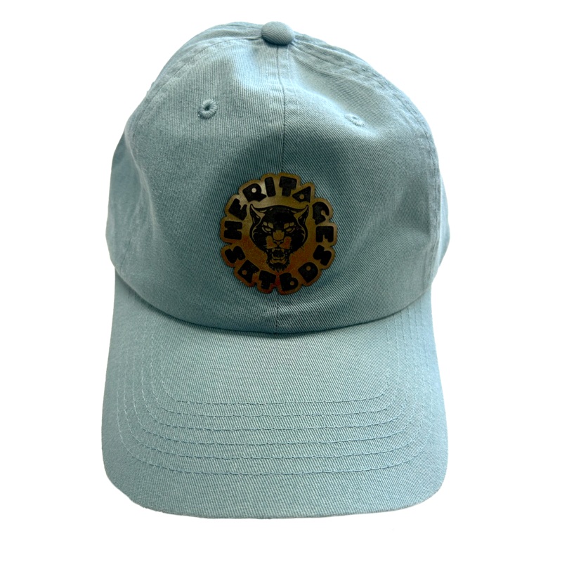 HeritageSKTBDS – Cloth Dad Hat Turquoise