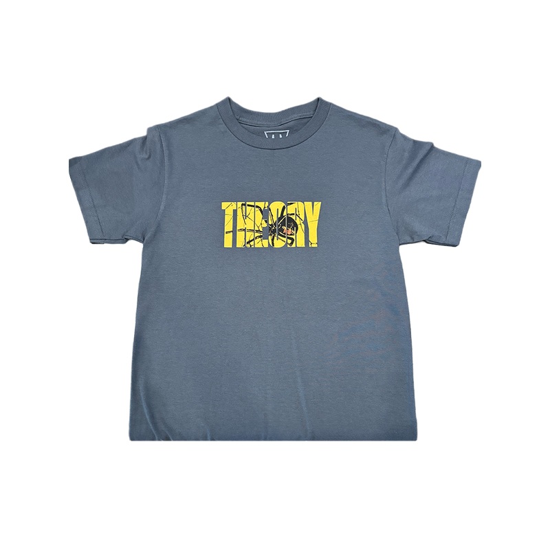 Theory Spider Grey XS