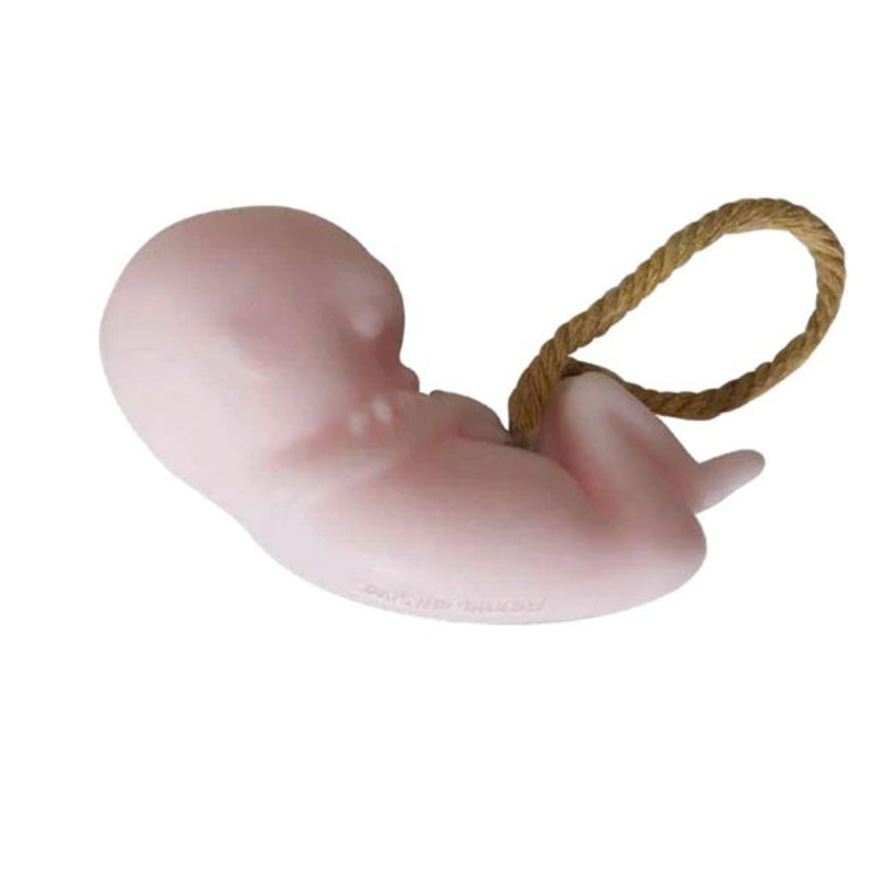 Fucking Awesome Baby Fetus Soap Bar