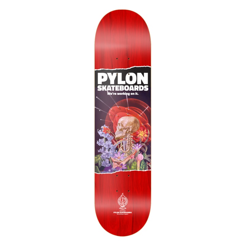 PYLON DECK – SPACE BRAIN (8.38″) 8.38″