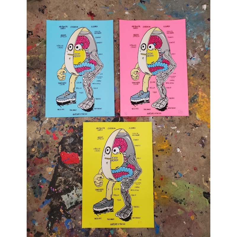 FOS “ANATOMY OF AN EGG” NUMBERED PRINT BLUE