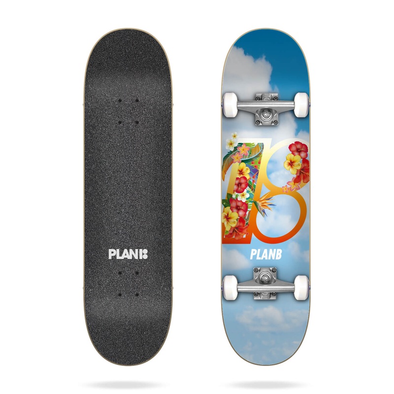 PLAN B COMPLETE HAWAII (8.25″) 8.25″