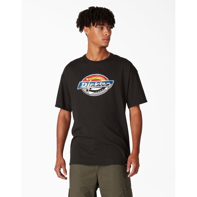 Dickies Skateboarding Break Out Graphic T-Shirt – Black (BK) S Black