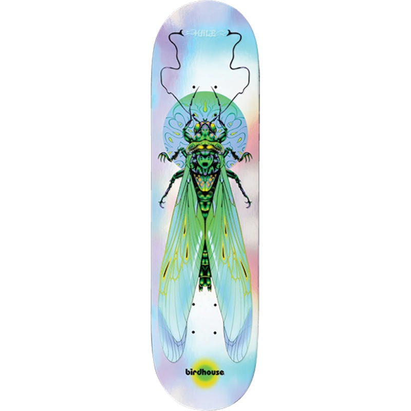 BH HALE ILHAM INSECTS DECK 8.75″