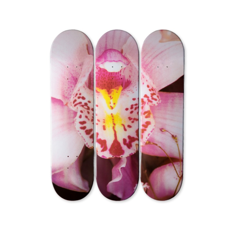 Orchid – Hand signed