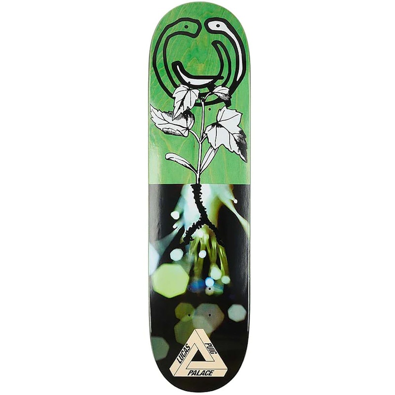PALACE DECK LUCAS S23 (8.2″) 8.2″
