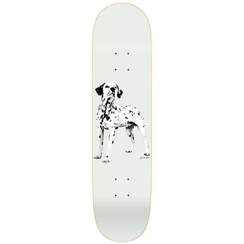 QUASI DECK – GOOD BOY (8.25″) 8.25″