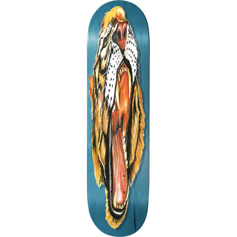 BAKER BEASLEY BIG CATS DECK 8.25″