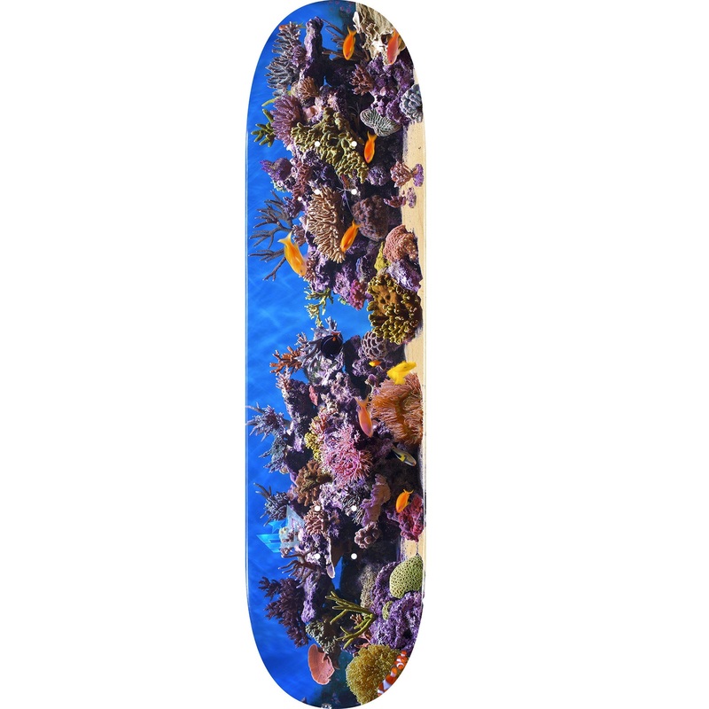 Mini Logo Fish Tank 18 Skateboard Deck 242 – 8.0