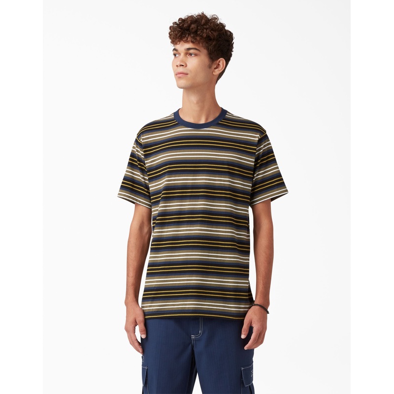 Dickies Skateboarding Stripe Graphic T-Shirt – Black/Moss Stripe S Gray