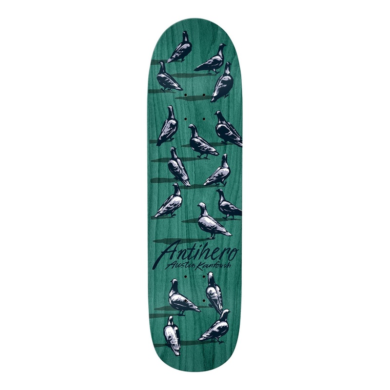 Antihero Austin Kanfoush Dawn Of The Pigeon Deck 8.55″