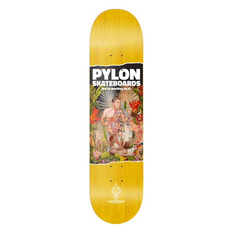 PYLON DECK – HANG IN THERE (8.625″) 8.625″