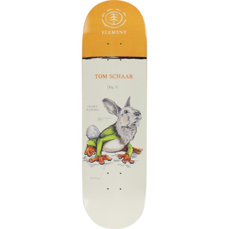 ELEMENT DECK – SCHAAR HYBRID (7.75″) 7.75″