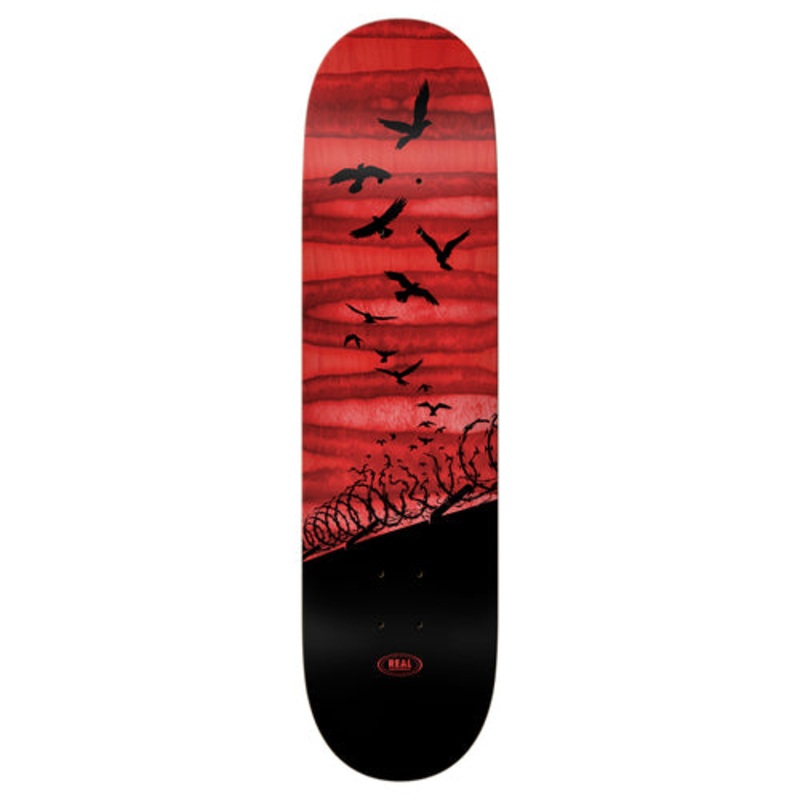 REAL DECK – SET FREE SPECRUM  (8.06″) 8.06″
