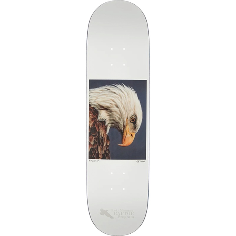 ZERO BURLEIGH HESS URE BALD EAGLE DECK 8.5″ WHT