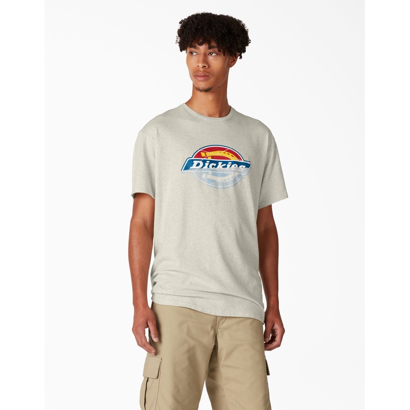 Dickies Skateboarding Break Out Graphic T-Shirt – Oatmeal Heather S White