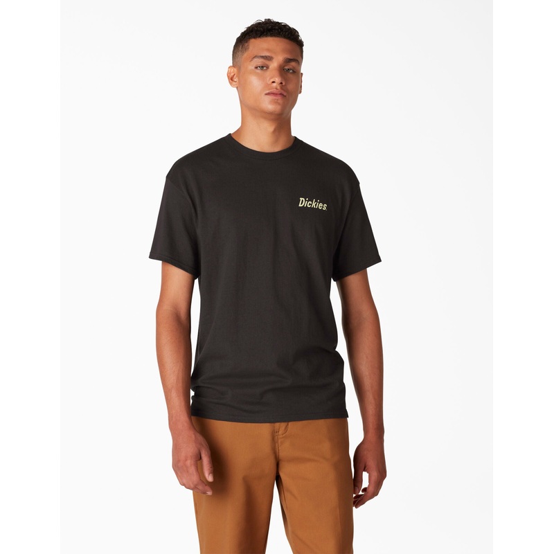 Dickies Skateboarding Split Graphic T-Shirt – Black (BK) S Black
