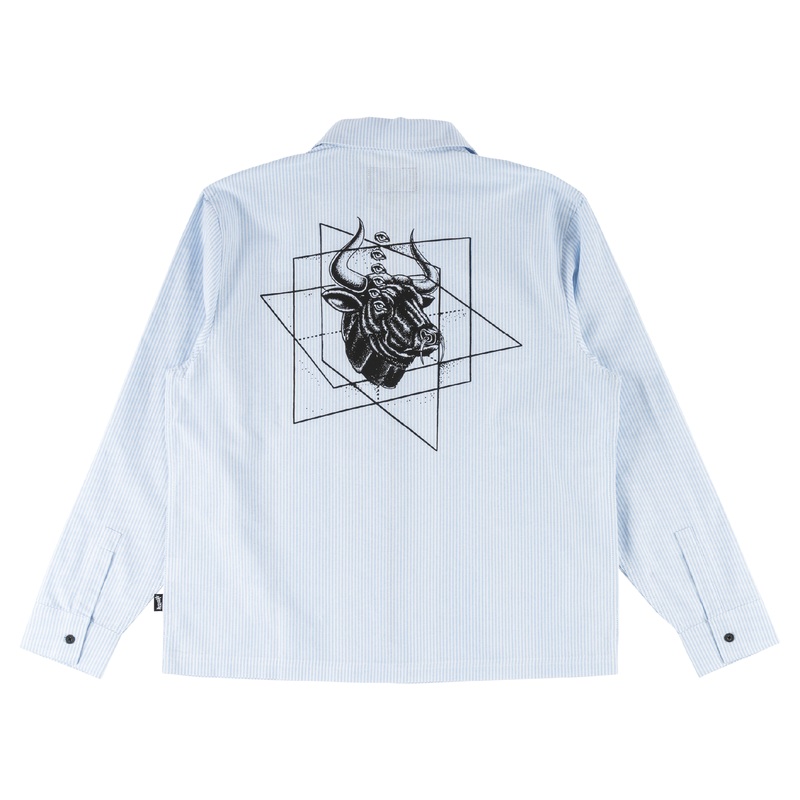 Dimension Printed L/S Oxford Shirt Small
