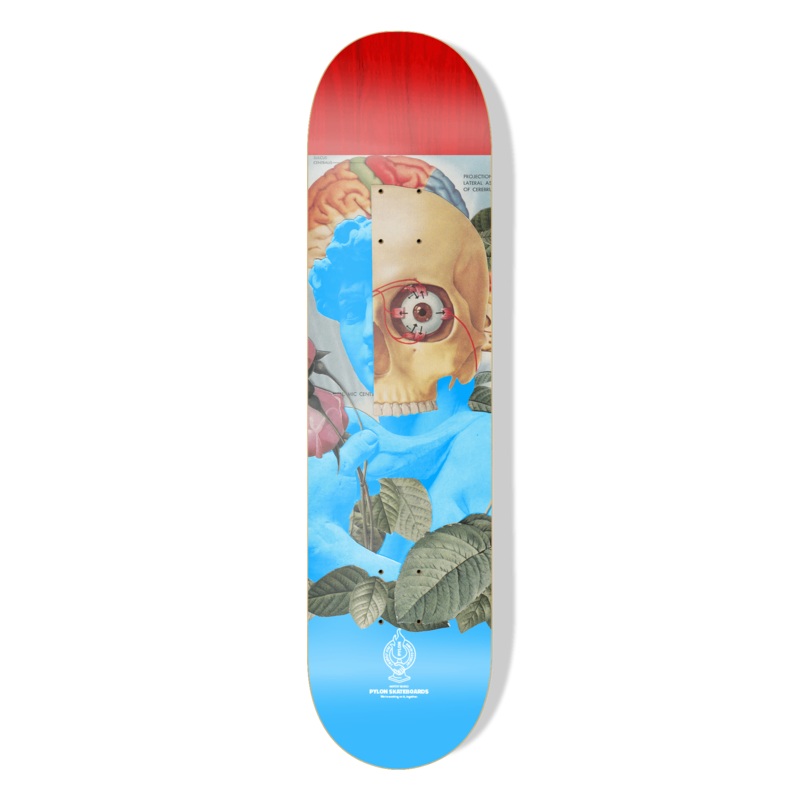 PYLON DECK – BEAUTY (8.625″) 8.625″