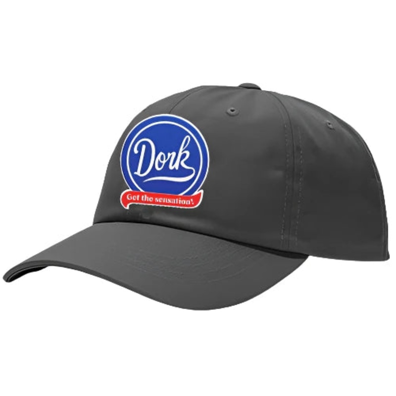 New School Skateboards – Snapback HAT “DORK”