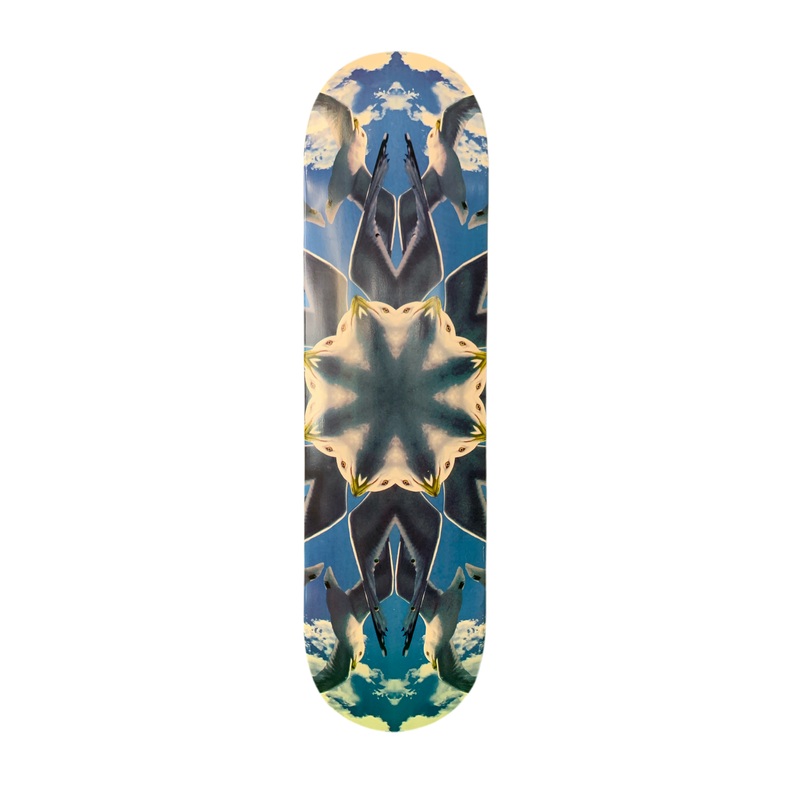 Danson Seagull Kaleidoscope 8.3″ Classic Skateboard Deck