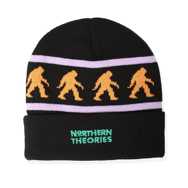 THEORIES NORTHERN THEORIES BEANIE BLACK